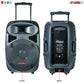 5Core 15 Inches DJ Speaker PA System Passive Bocinas Stage Subwoofer PC 15