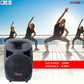 5Core 15 Inches DJ Speaker PA System Passive Bocinas Stage Subwoofer PC 15